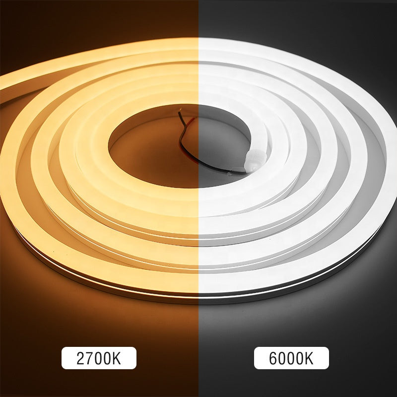 AC 220V RGB Neon Flex – Silicone IP67, No Driver Needed, 50M Run